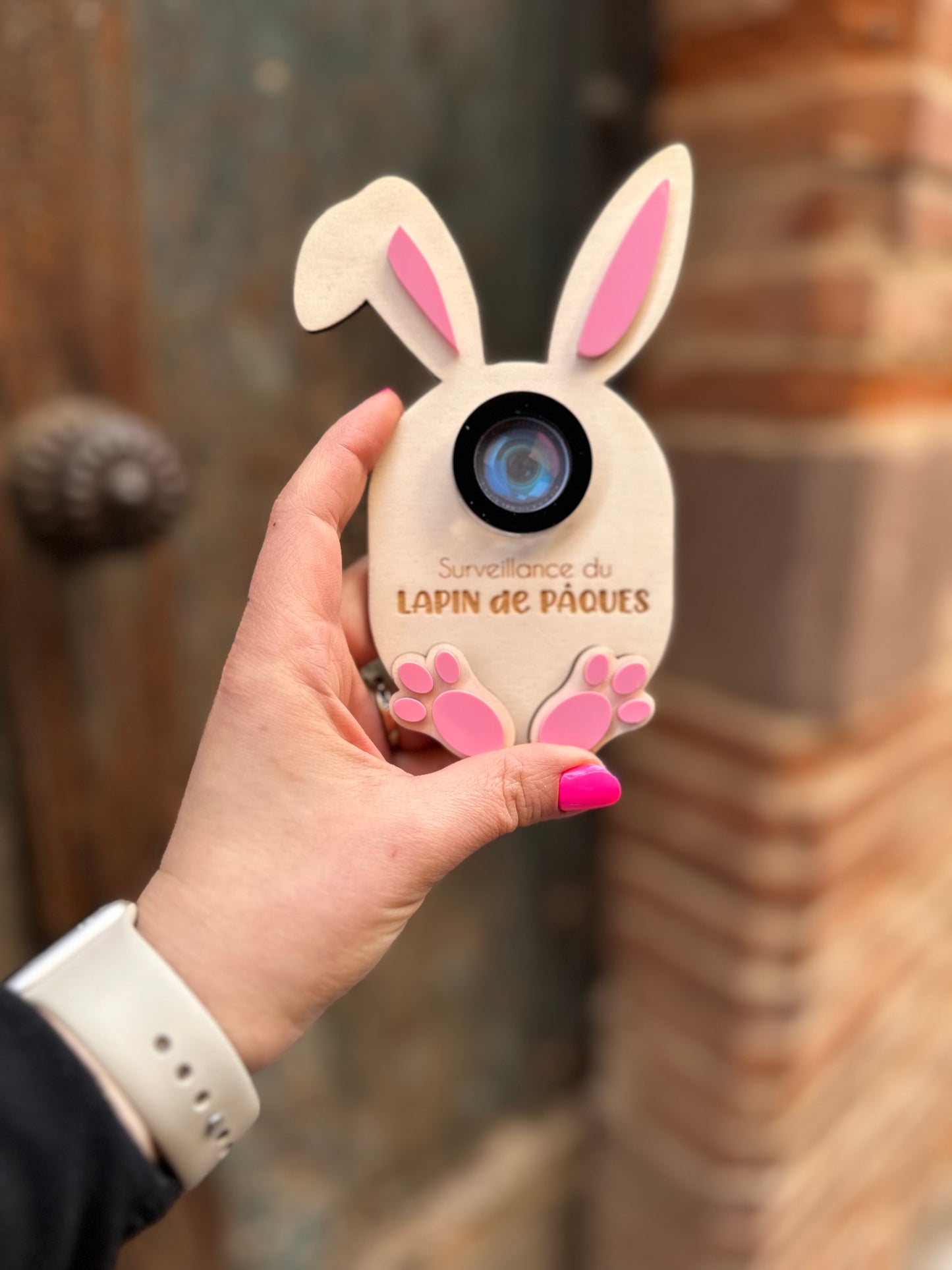 Caméra de surveillance du lapin de Pâques